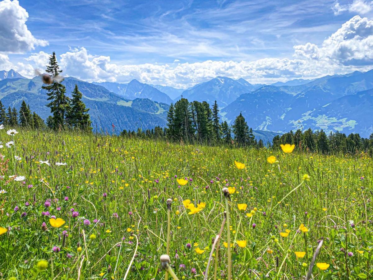 Appartement Franz Zell am Ziller Kültér fotó